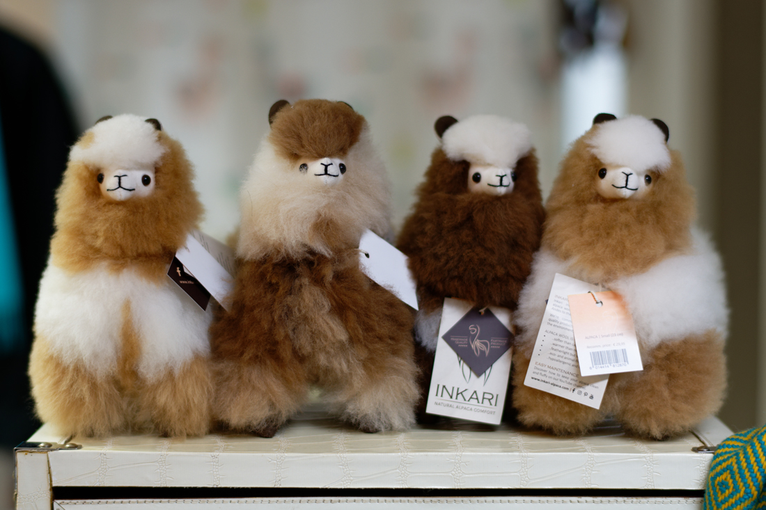 Alpacas.jpg