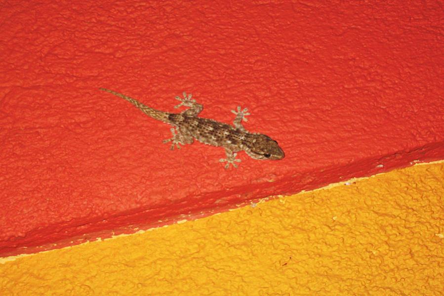 Alte IXUS i.d. Nacht