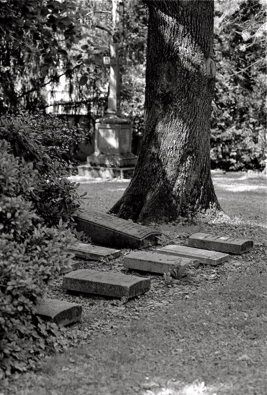 Alter Friedhof 12
