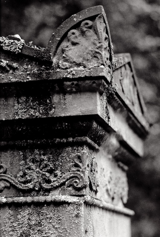 Alter Friedhof 6