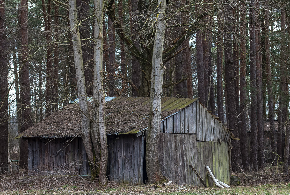 Alter Schuppen (1 von 1).JPG