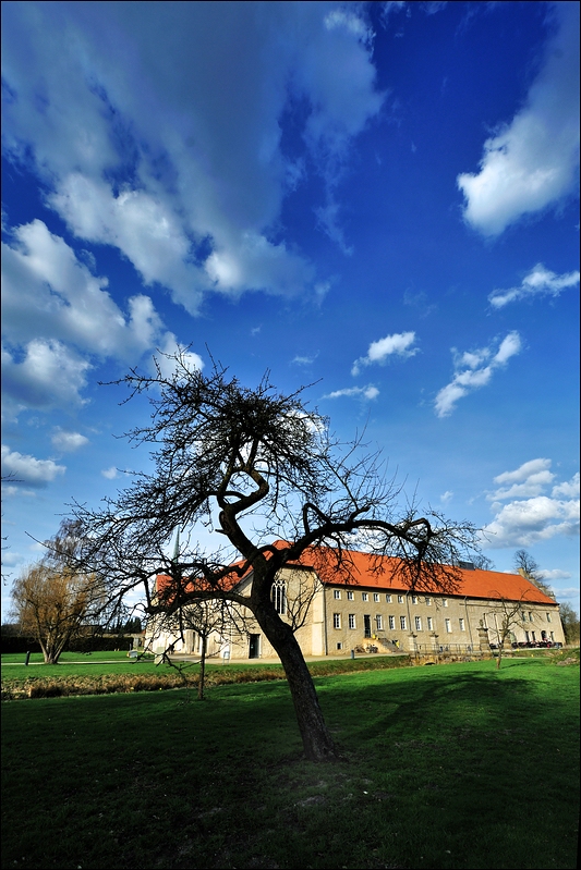 Altes Kloster 04 / 2010 _ 2