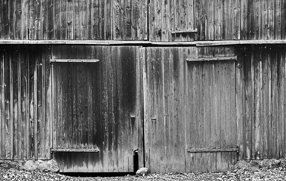 Altes Scheunentor BW_2.jpg
