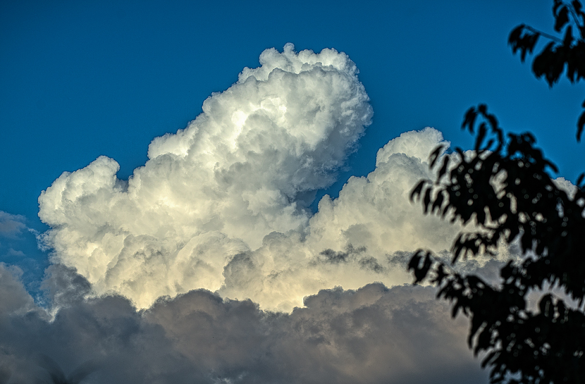 Altocumulus
