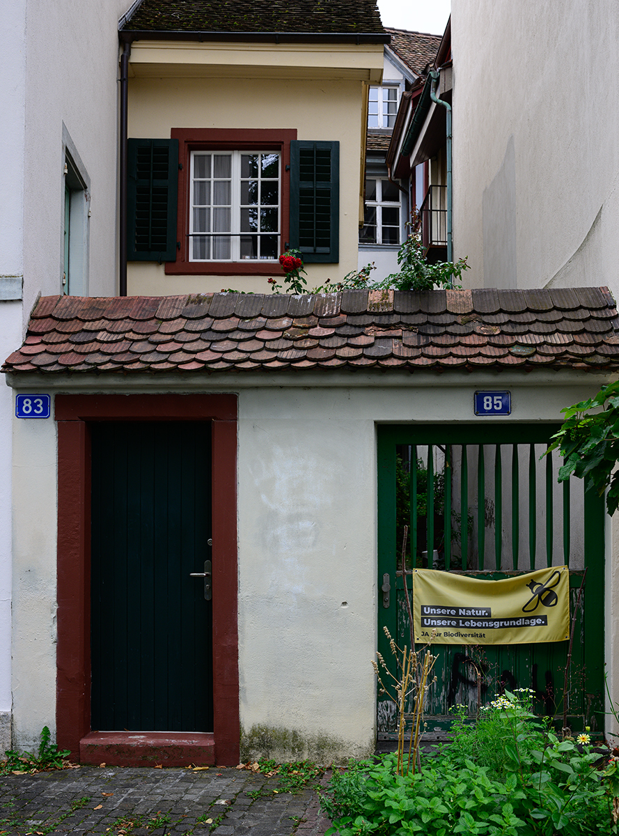 Altstadt.jpg