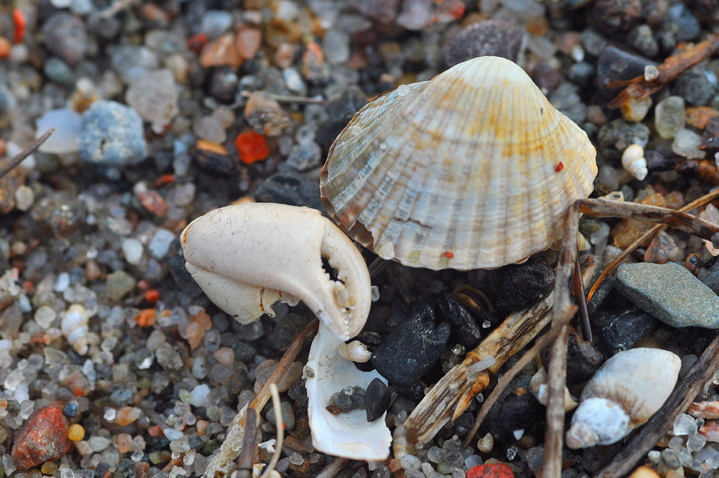 Am Bodden