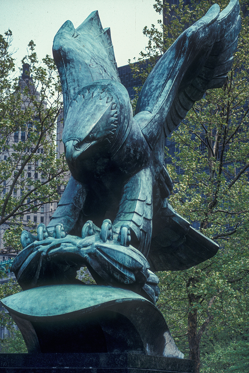 Am Eagle.jpg