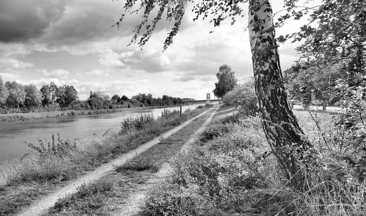 Am Elbe-Seiten-Kanal.jpg