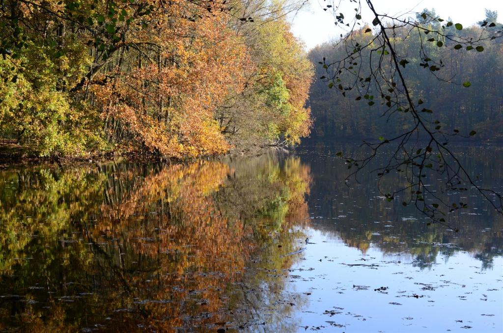 Am Hubertussee 2