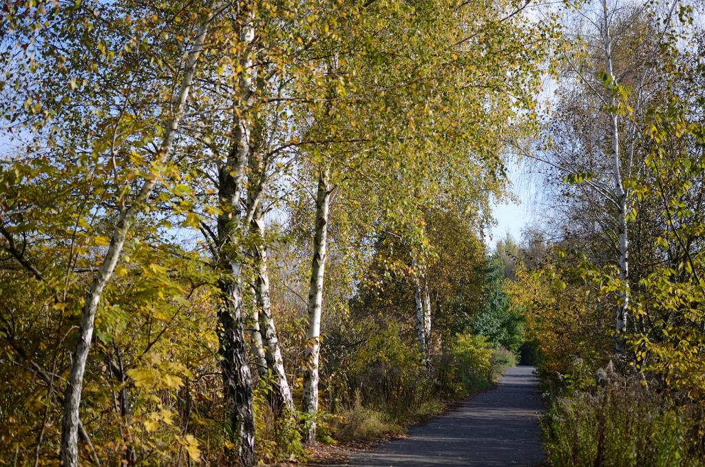 Am Mauerweg