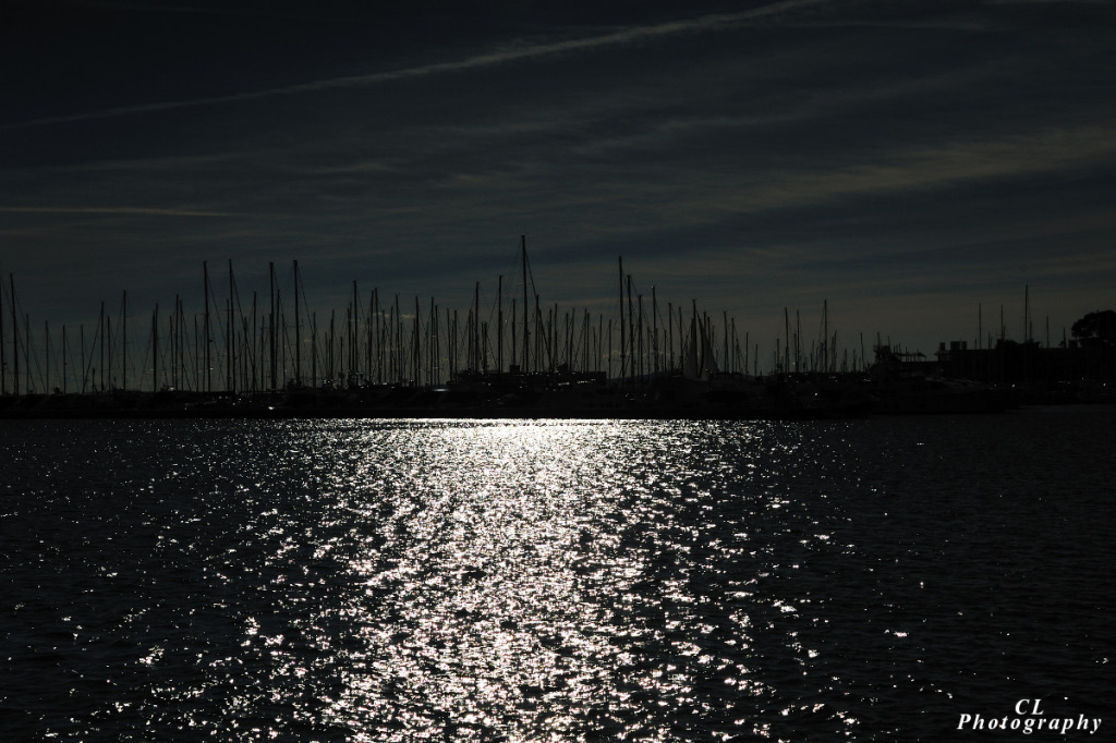 Am Meer