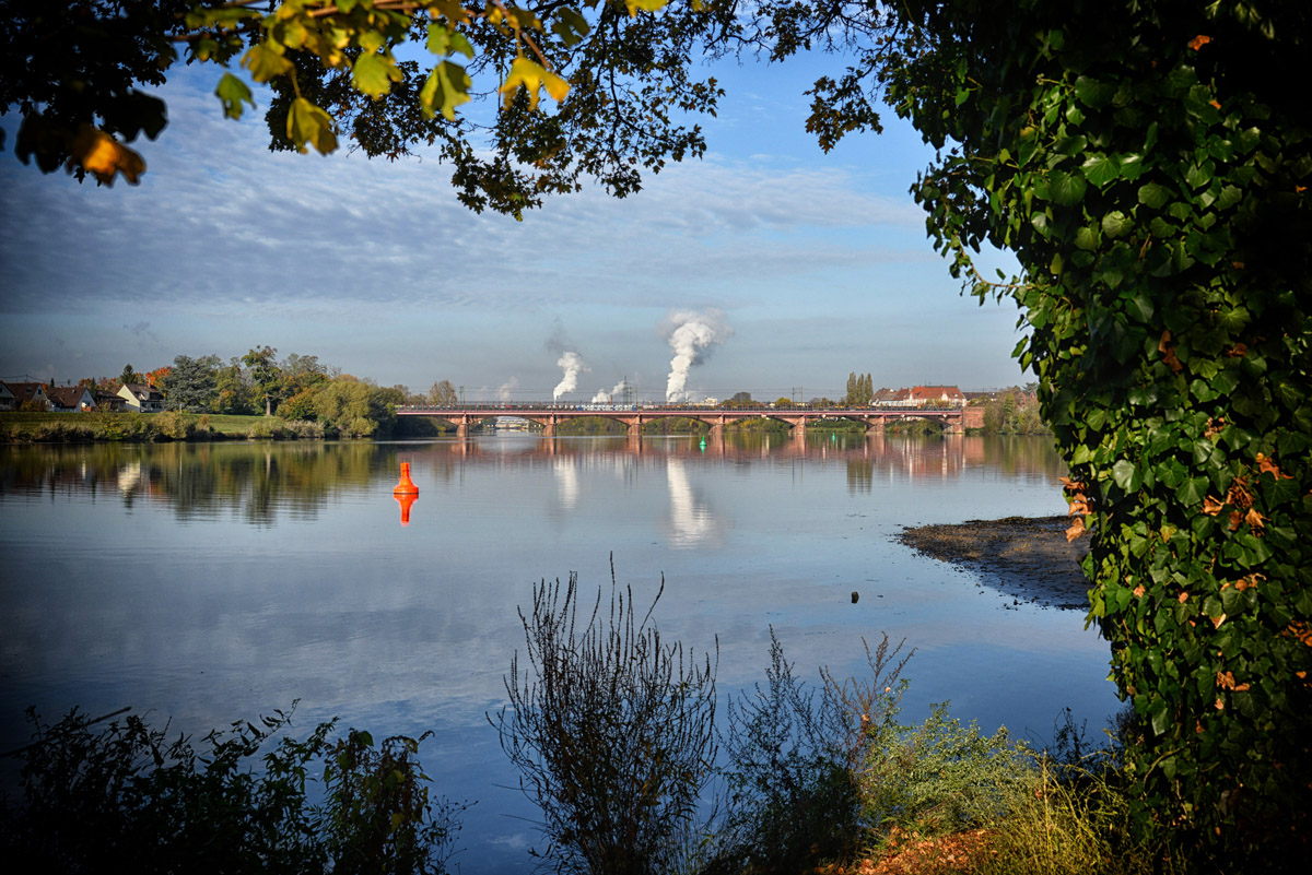 am neckar