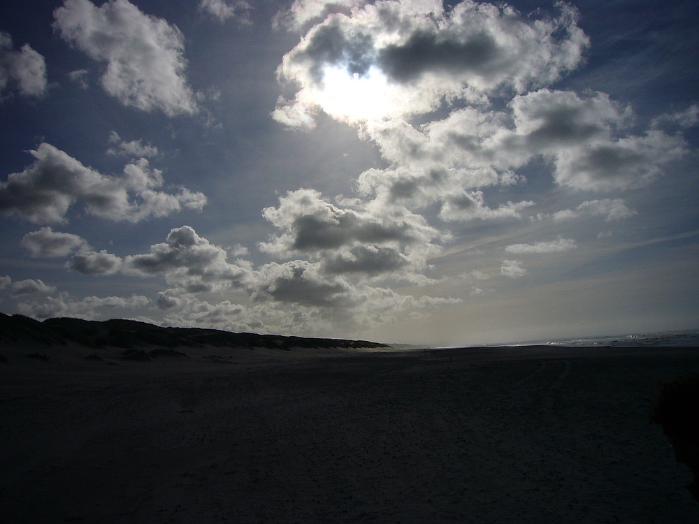 Am Nordseestrand