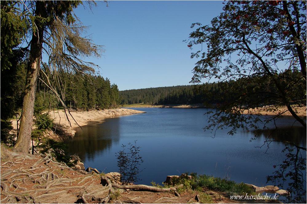 am Oderteich ...