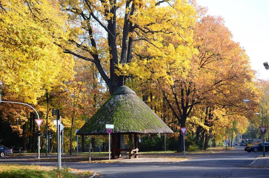 Am Pilz