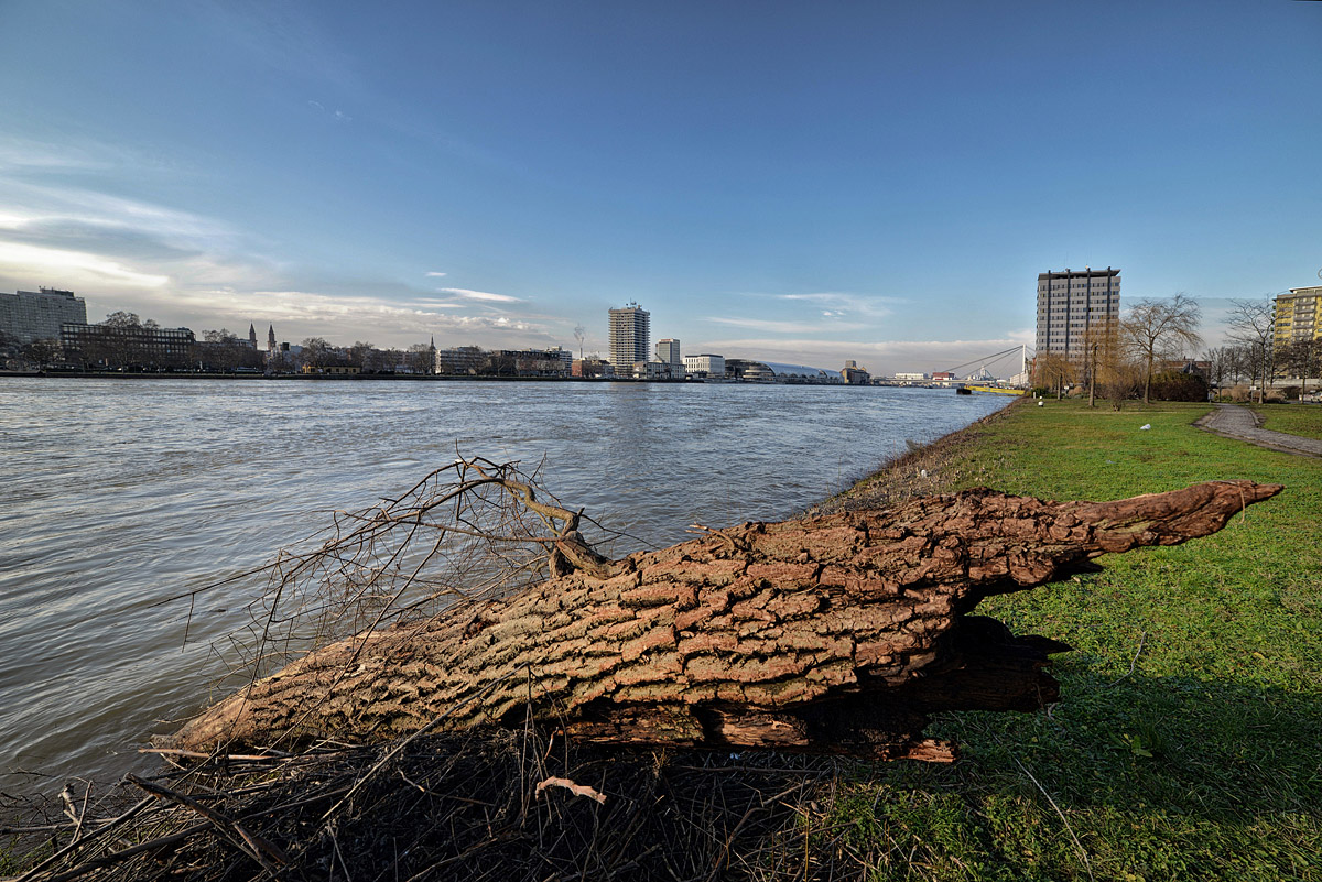 Am Rhein 02 1200