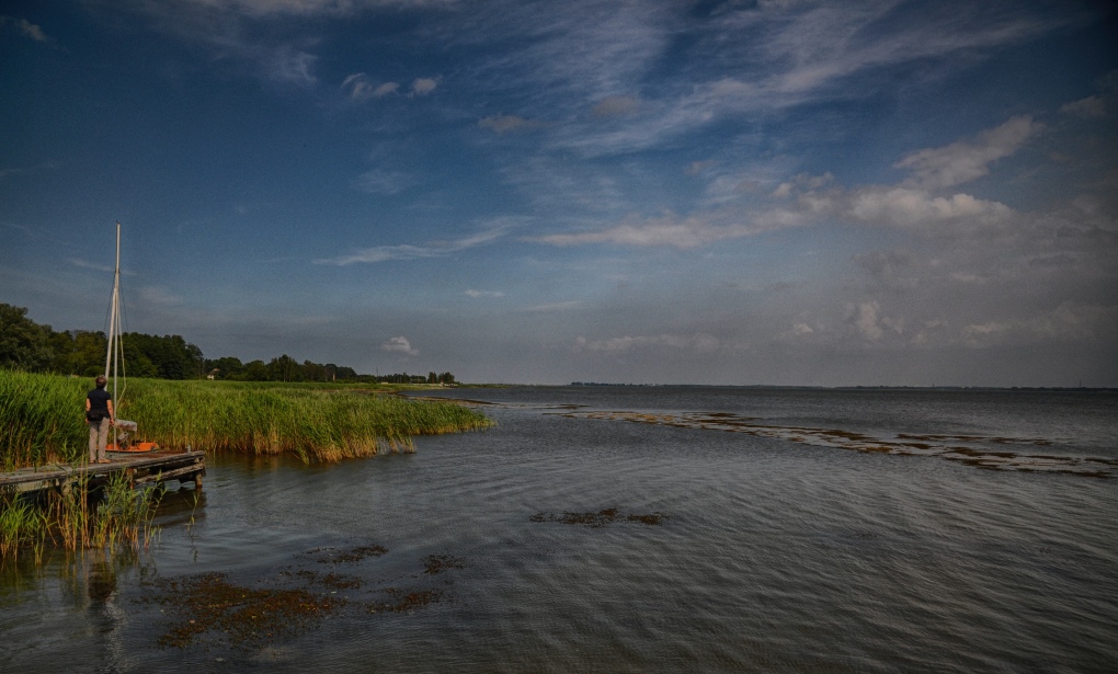 Am Saaler Bodden