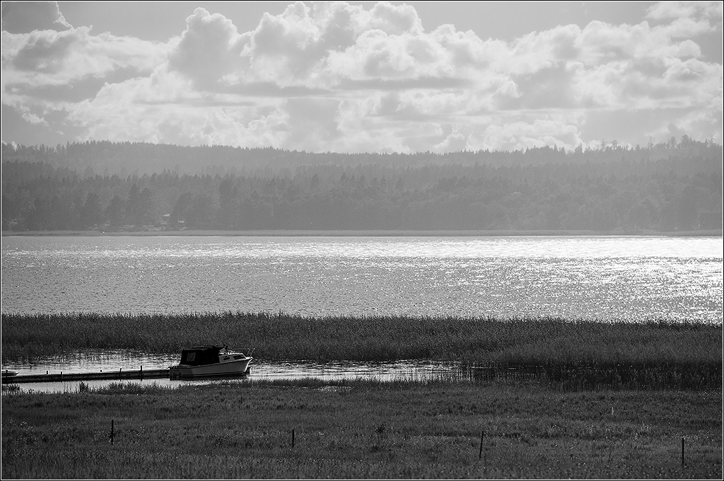 am see sw