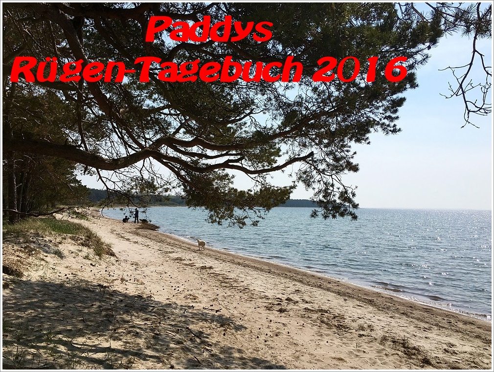 am strand