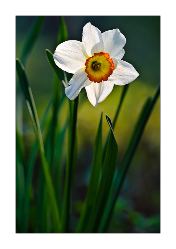 Am Waldboden 4