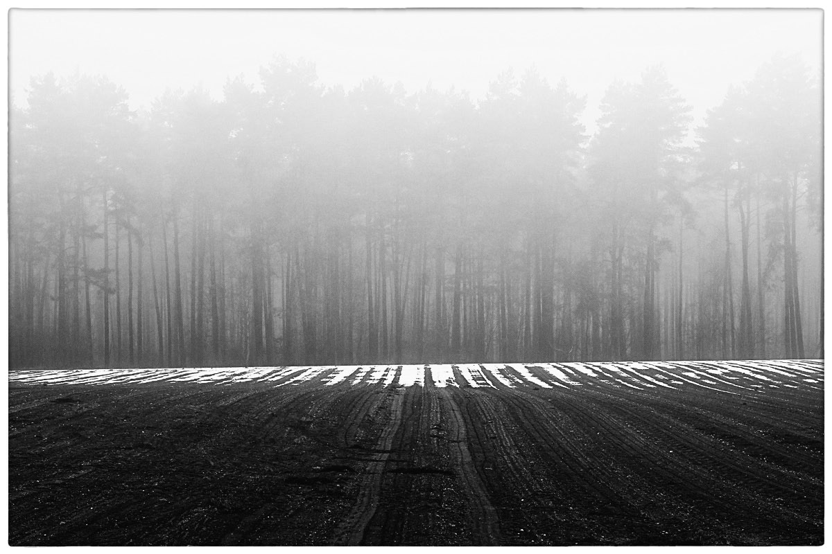 Am Waldrand_BW.jpg