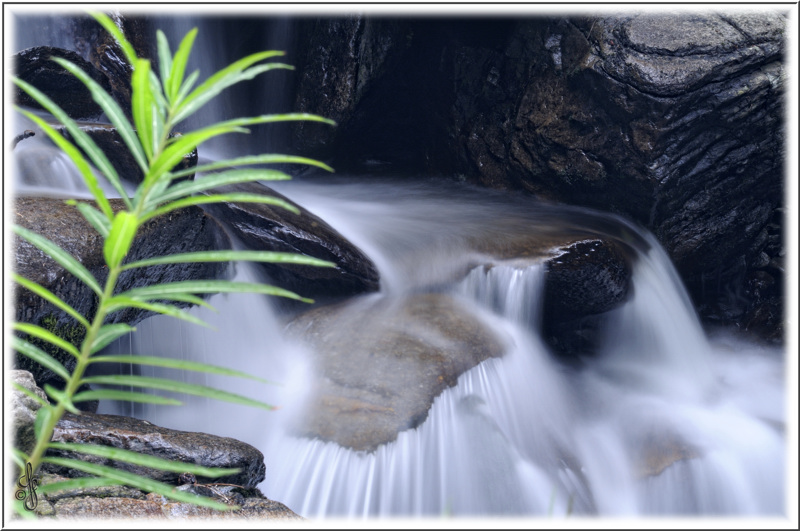 am Wasser
