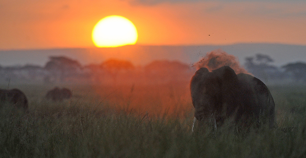 Amboseli