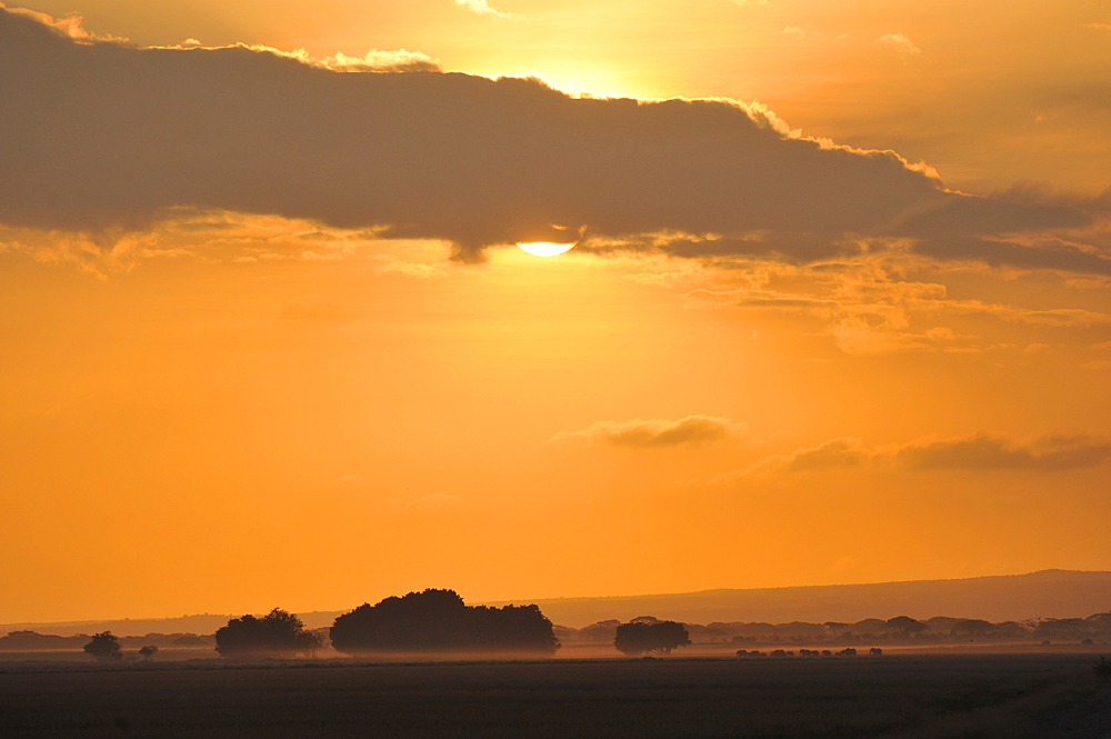 Amboseli