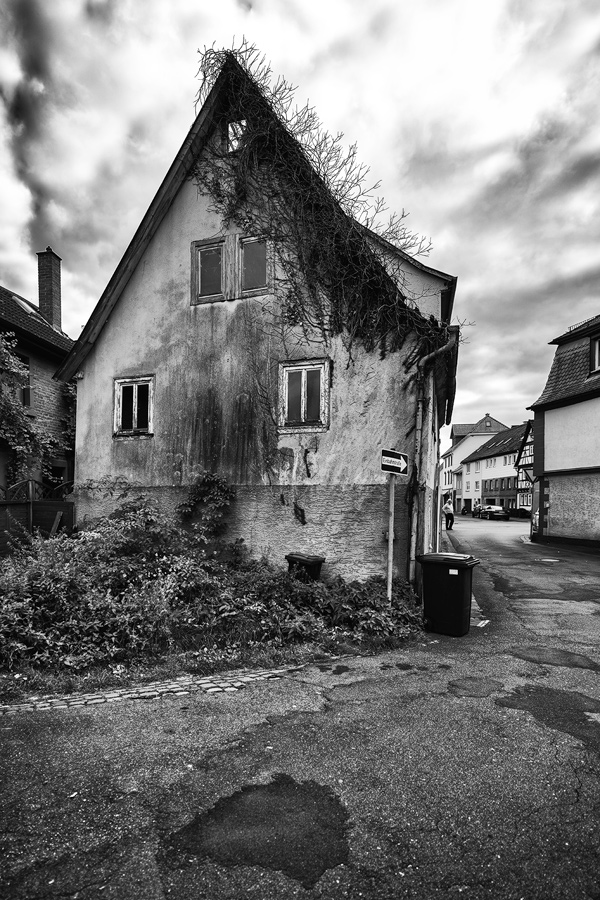Amorbach 014