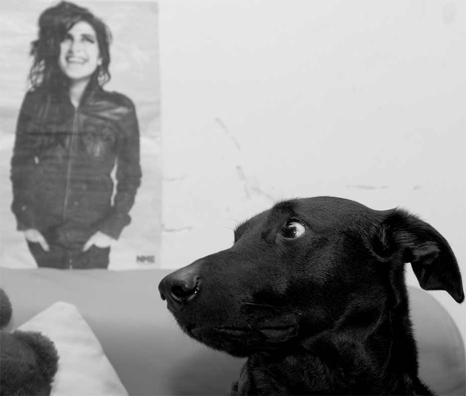 Amy und Ich
