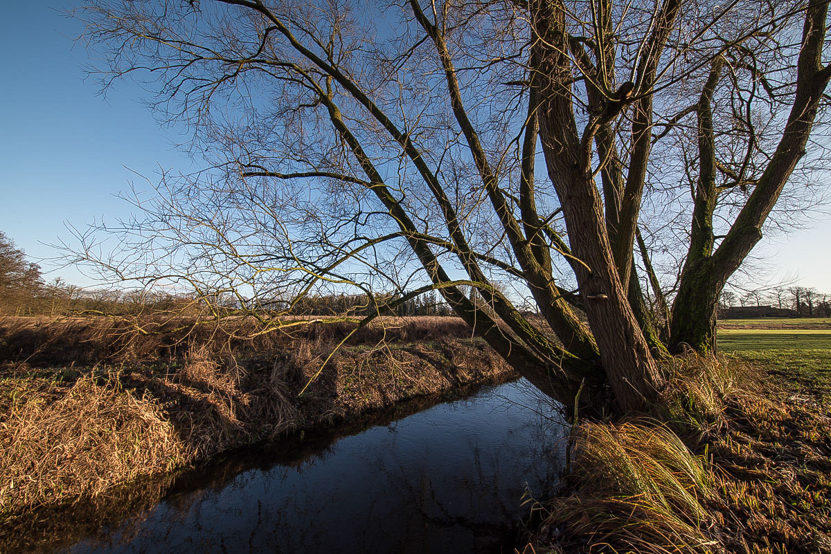 An der Aue.jpg