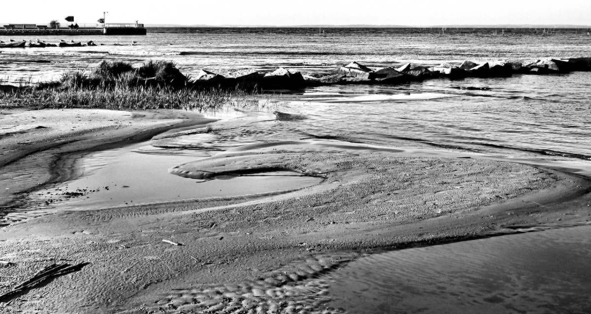 An der Küste Ostsee.jpg