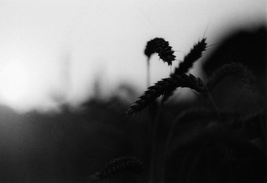 analog ports aug 2009 024 2