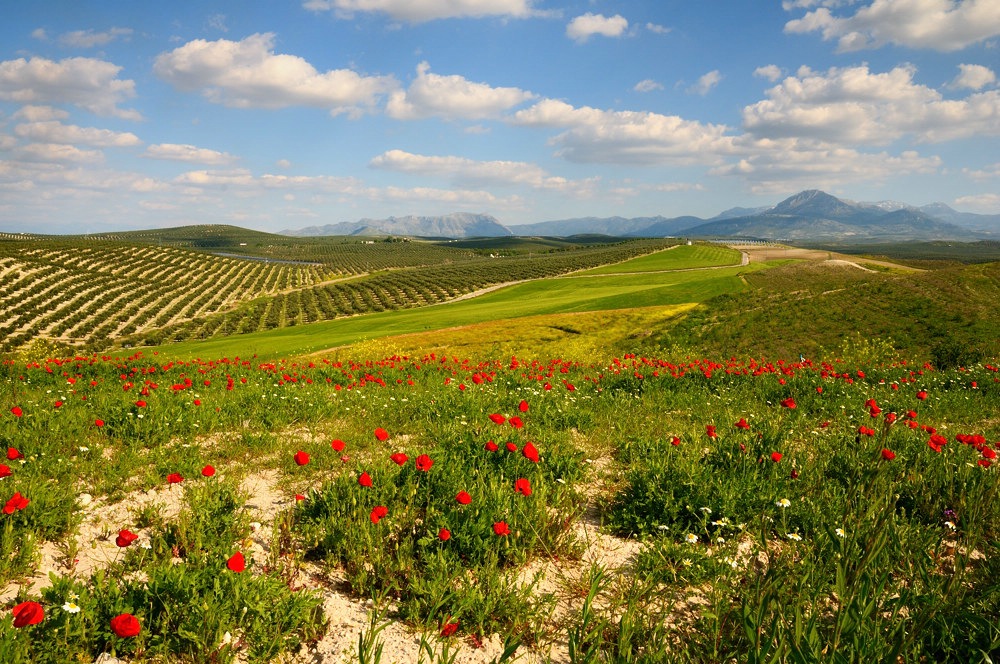Andalusien
