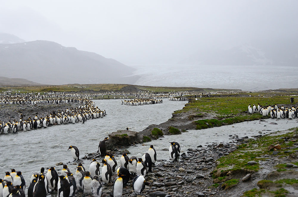 Andrewsbay1