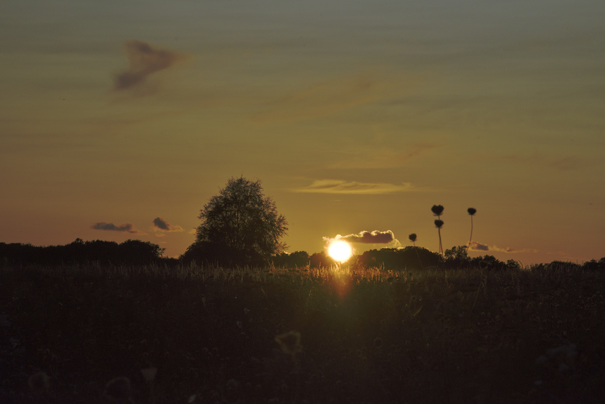 Anfang September, Sonnenuntergang im allerbesten Altweibersommer - so ziemlich der letzte Augenblick