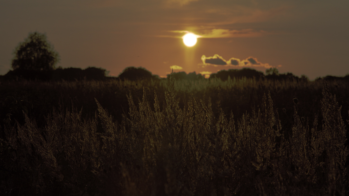 Anfang September, Sonnenuntergang im allerbesten Altweibersommer