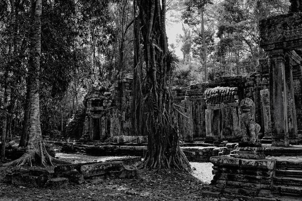 Angkor