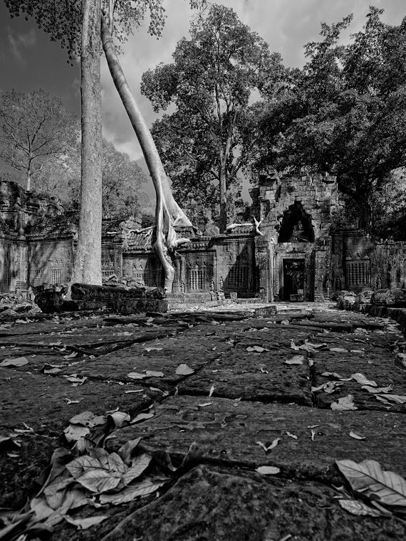 Angkor
