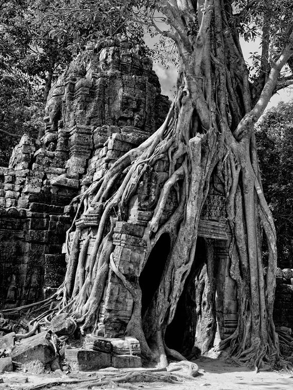 Angkor