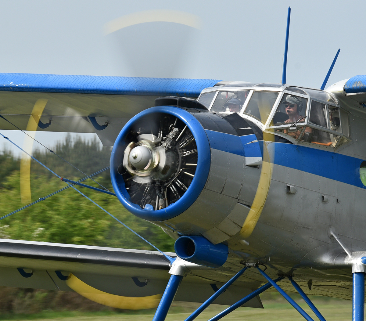 antonov_2.jpg
