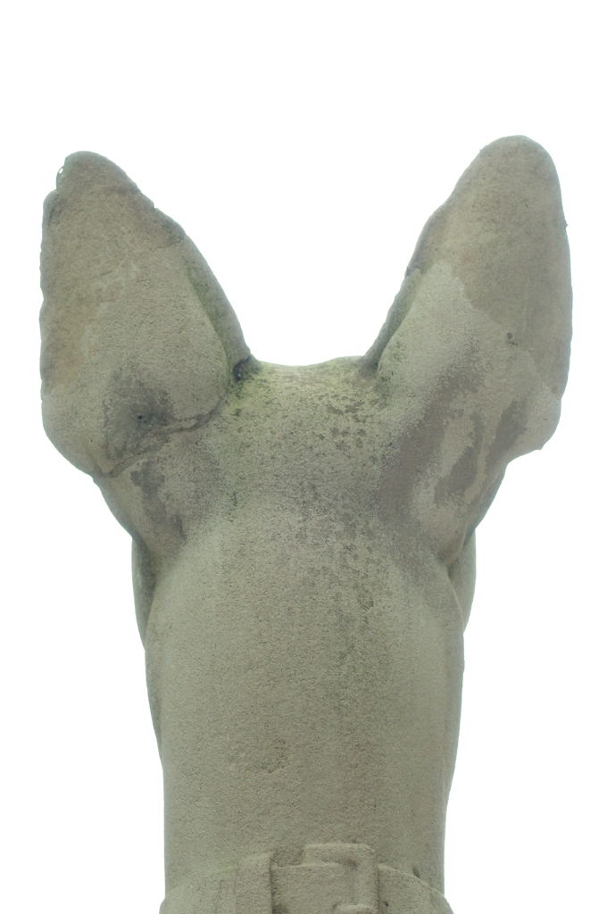 Anubis oder Jagdhund? MHX 0092cnxX
