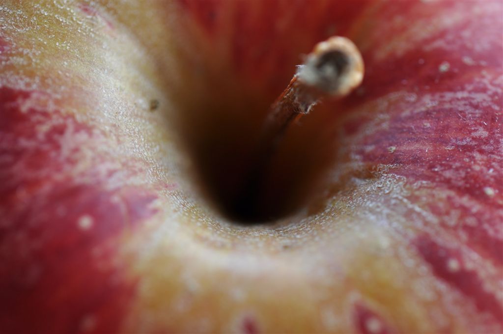 Apfel