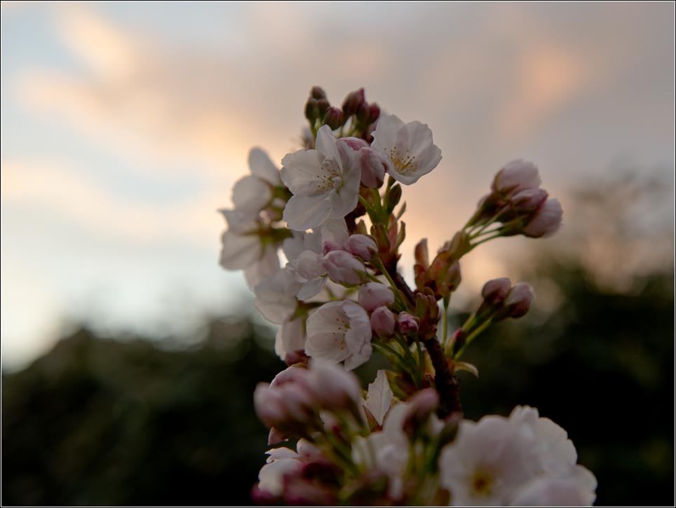 April6