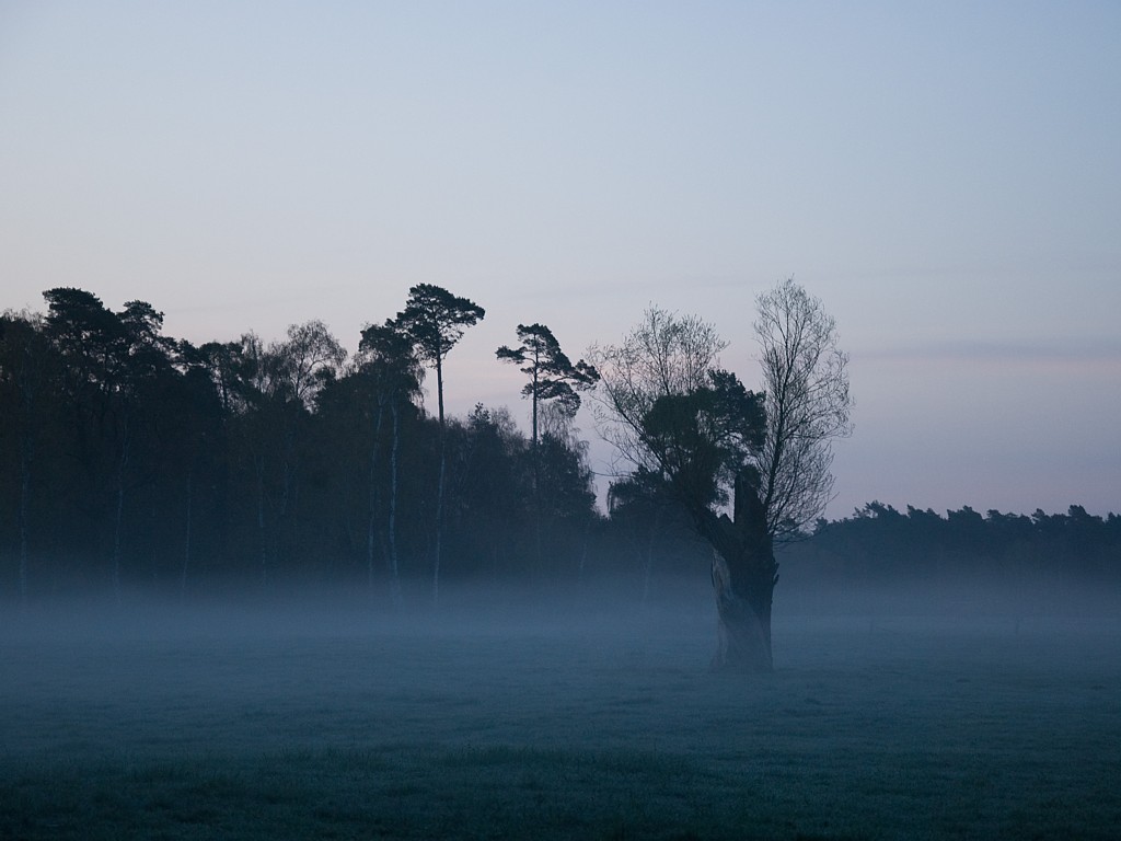 Aprilmorgen 2