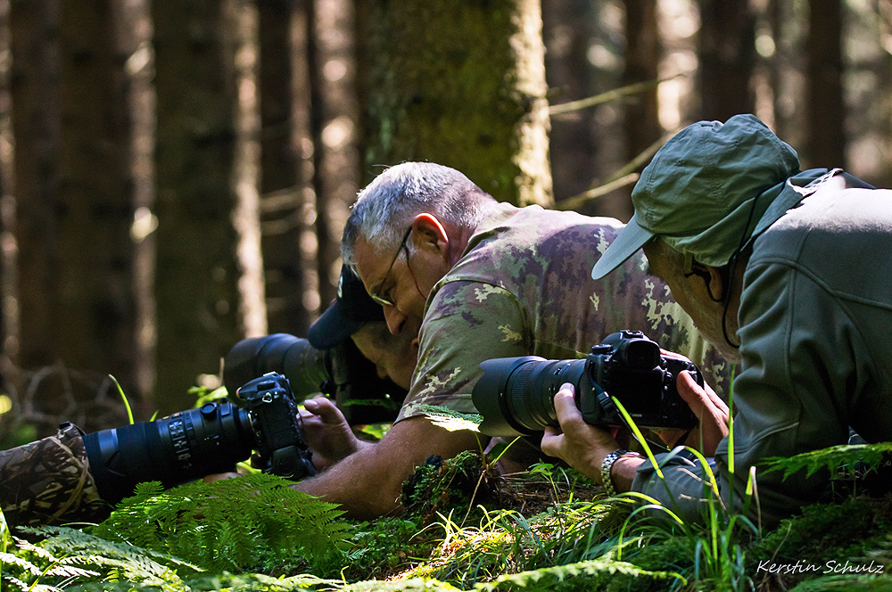 Arbeitsfoto