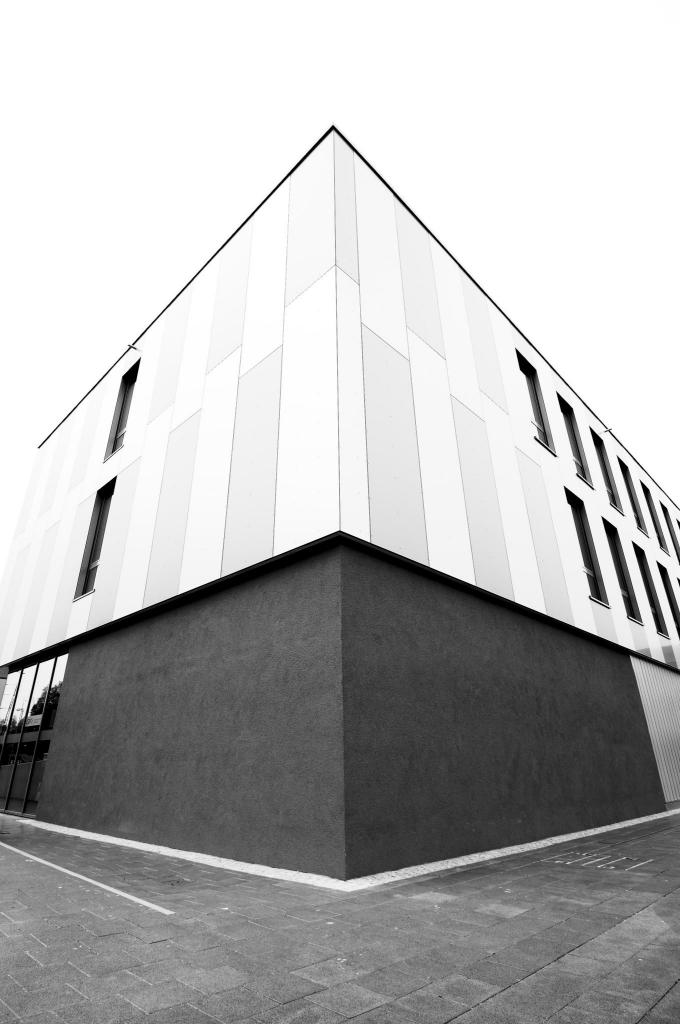 Archithema 2  D2X0125