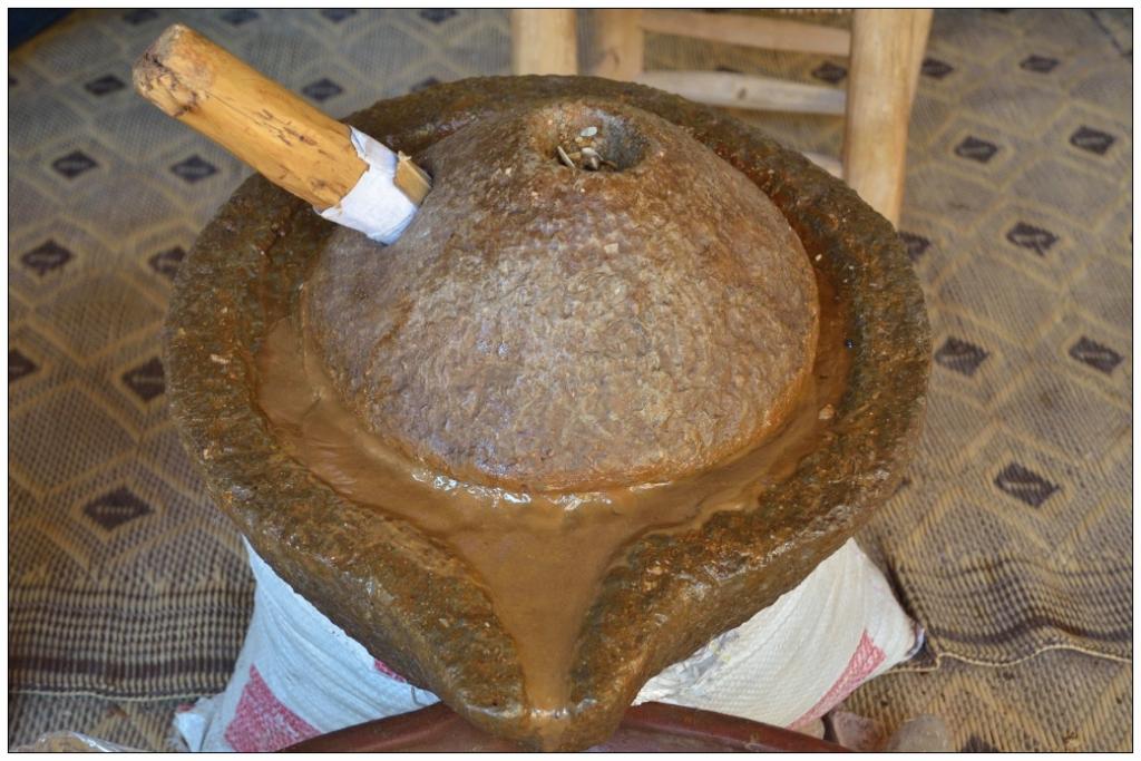 Argan 2