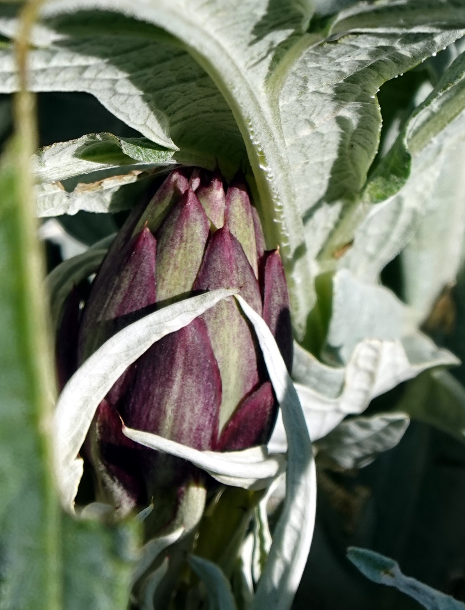 full