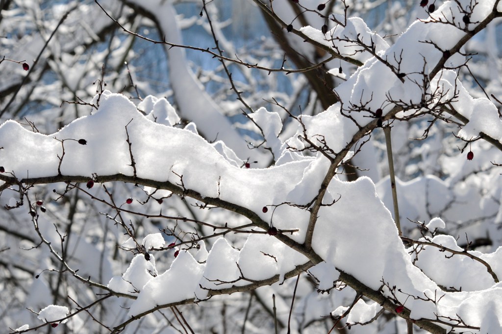 AS0 4823